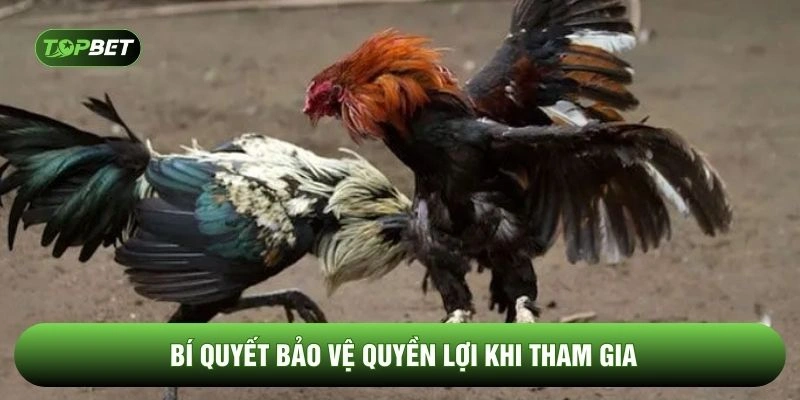 Bí quyết bảo vệ quyền lợi khi tham gia