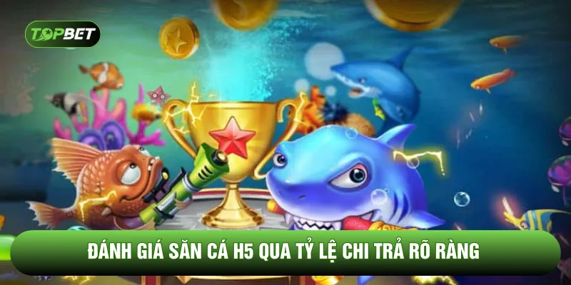 Đánh giá săn cá H5 qua tỷ lệ chi trả rõ ràng 