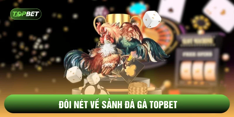 Đôi nét về sảnh đá gà TOPBET