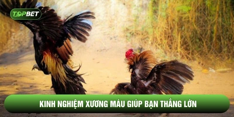 Kinh nghiệm xương máu giúp bạn thắng lớn