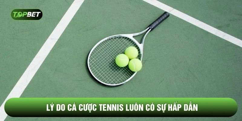 Lý do cá cược tennis luôn có sự hấp dẫn