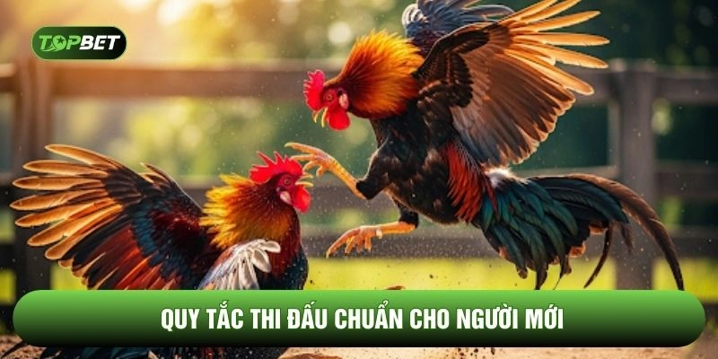 Quy tắc thi đấu chuẩn cho người mới