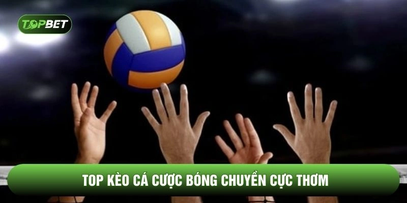 Top kèo cá cược bóng chuyền cực thơm